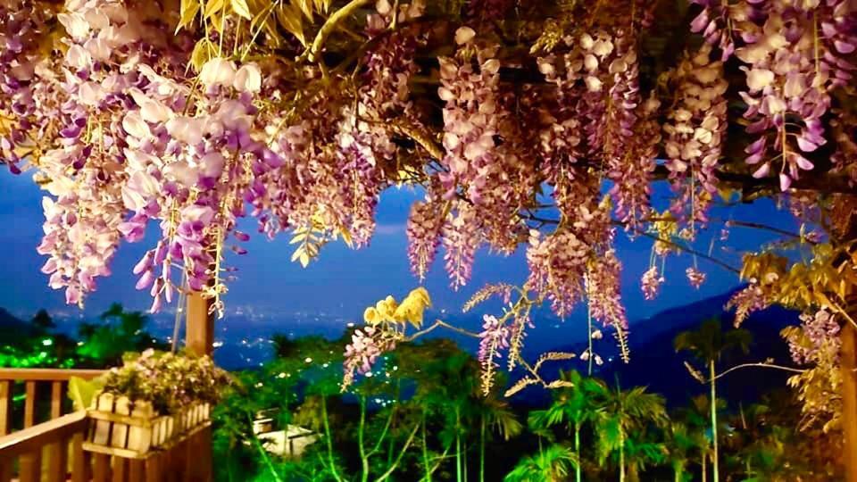 Starlight Forest B&B Jinshi Екстериор снимка